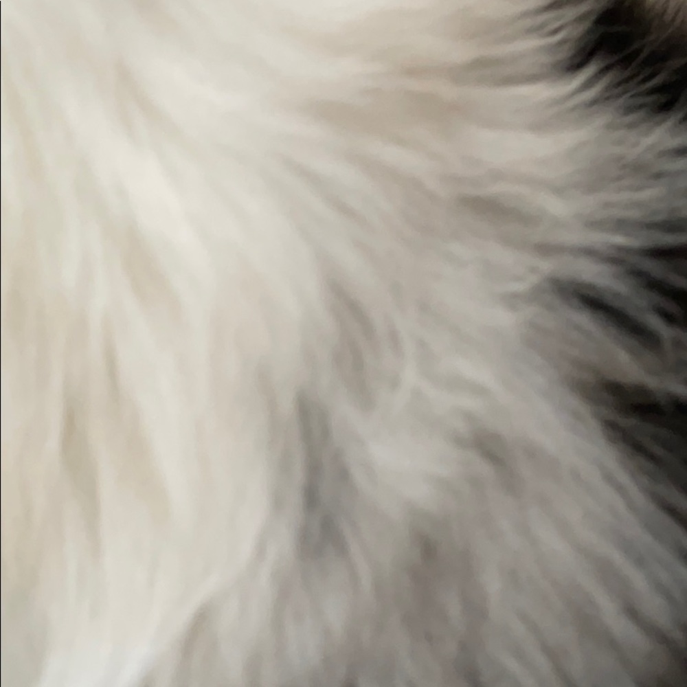 Meet your Posher, Reis